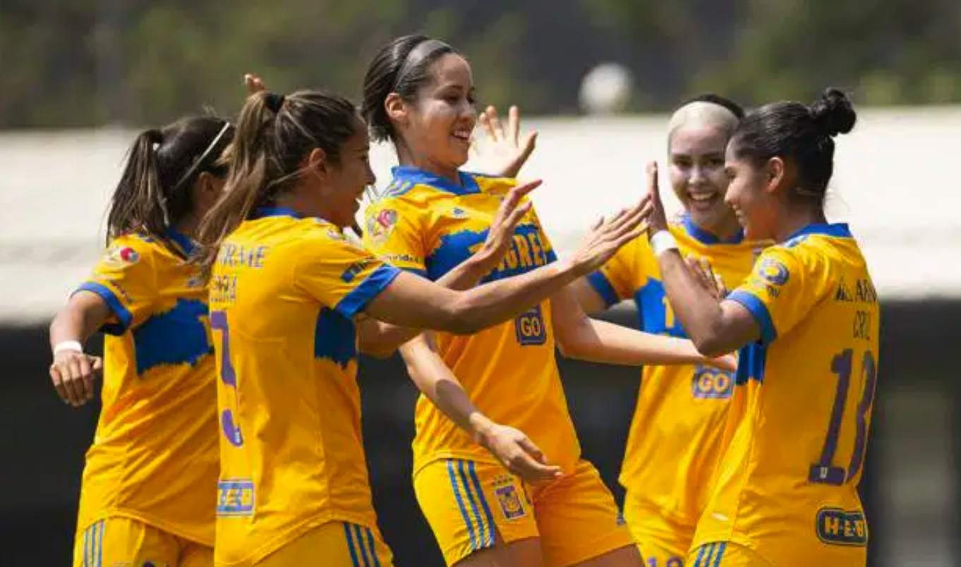 Liga MX Article 1